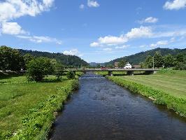 Narrensteg Hausach: Westblick