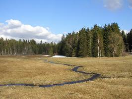 Landkreis Breisgau-Hochschwarzwald » Bild 75