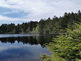 Mathisleweiher Hinterzarten