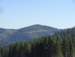 Gemeinde Feldberg im Schwarzwald » Bild 88