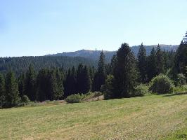 Urbershtte Hinterzarten: Seebuck