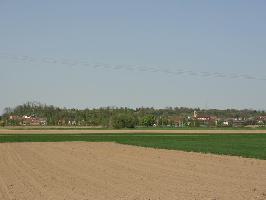 Zixenberg bei Niederschopfheim