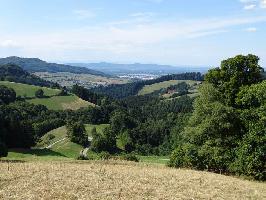 Katzentalweg Horben: Katzental