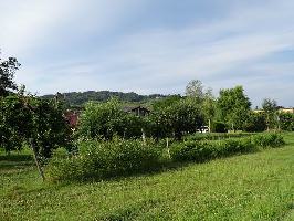 Ihringen am Kaiserstuhl » Bild 28