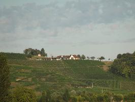 Kaiserstuhl » Bild 74