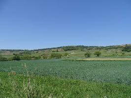 Weinlage Lotenberg Wasenweiler