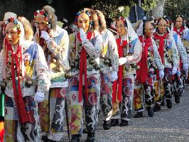 Umzug - 75 Jahre Verband Oberrheinischer Narrenznfte » Bild 72