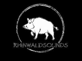 Logo Rhinwaldsounds