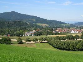 Giersberg: Blick Marie-Curie-Gymnasiums Kirchzarten