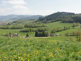 Unterneuhuser im Dreisamtal