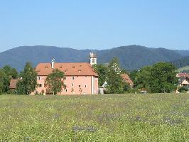 Talvogei & Galluskirche Kirchzarten