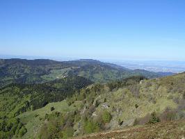 Belchen Blauen