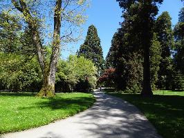 Arboretum Insel Mainau