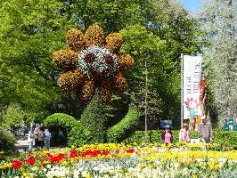 Blumi Insel Mainau