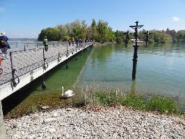 Inselbrcke & Schwedenkreu Mainau