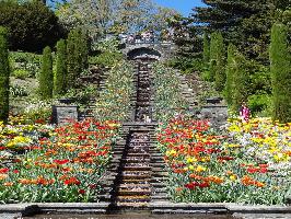 Italienische Blumen-Wassertreppe Mainau