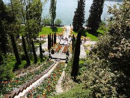 Italienische Blumen-Wassertreppe & Bodensee