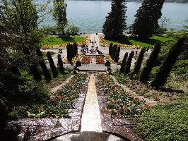 Insel Mainau » Bild 21