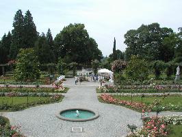 Insel Mainau » Bild 23