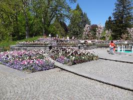 Mediterran Terrassen Insel Mainau