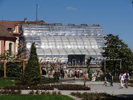 Palmenhaus Insel Mainau