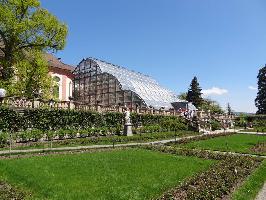 Westansicht Palmenhaus Mainau