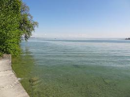 Sdufer Mainau: Blick Bodensee