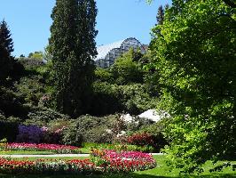 Ufergarten Mainau: Blick Palmenhaus