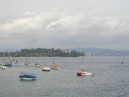 Staad: Blick Insel Mainau