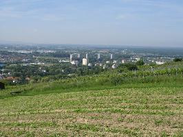 Hochhuser Dinglingen