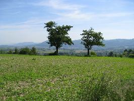 Schutterlindenberg: Blick Heiligenzell