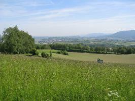 Schutterlindenberg: Nordblick