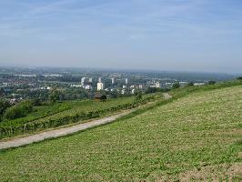 Weinbergstrae