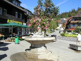 Narrenbrunnen » Bild 26