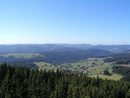 Hochfirst Aussichtsturm: Saig