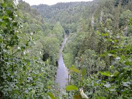 Bachheim: Wutachschlucht