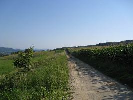 Bergweg Tumringen