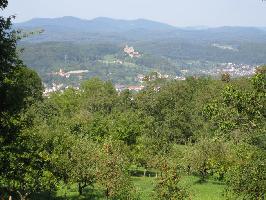 Tllinger Berg: Steuobstwiesen