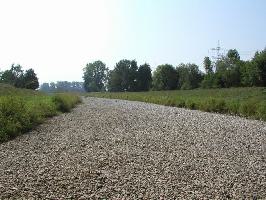 Dreisambrcke Landstrae 116: ausgetrocknetes Flussbett