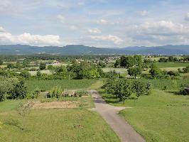 Hochbehlter Bergle Holzhausen: Blick Rosskopf