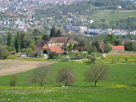 Schnberg im Breisgau » Bild 18