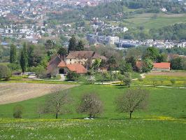 Schnberg im Breisgau » Bild 18