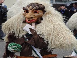 Umzug Fasnet Gundelfingen 2017 » Bild 39