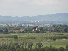 Rosenberg Zunzingen: Blick Betberg