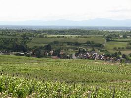 Rosenberg Zunzingen: Blick Zunzingen