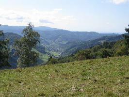 Sonnhaldeberg: Blick Mnstertal