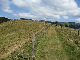 Sonnhaldeberg: Wanderweg