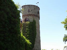 Hohennagold Burgruine » Bild 6