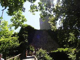 Hohennagold Burgruine » Bild 8