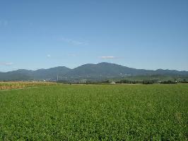 Neuenburg: Blick Hochblauen